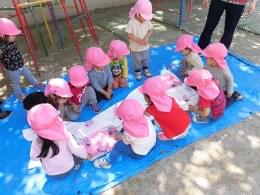 うさぎぐみ(2歳児)の様子